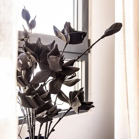 Apartment Demmi 2br Designer Chania (Crete)